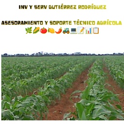 Avaluos Agropecuarios