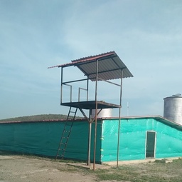 Cortina Avicola con UV