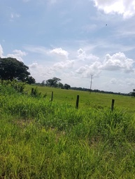 Hermosa Finca, 220 Has. Tierras propias 