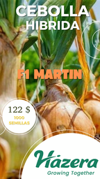 Semillas de hortalizas certificadas!