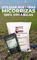 Biofertilizante/ Micorrizas.